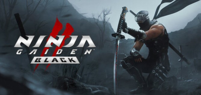 Ninja Gaiden 2 Black download